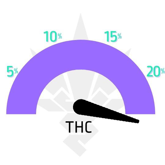 Notorious_THC_Humboldt_Seed_Company